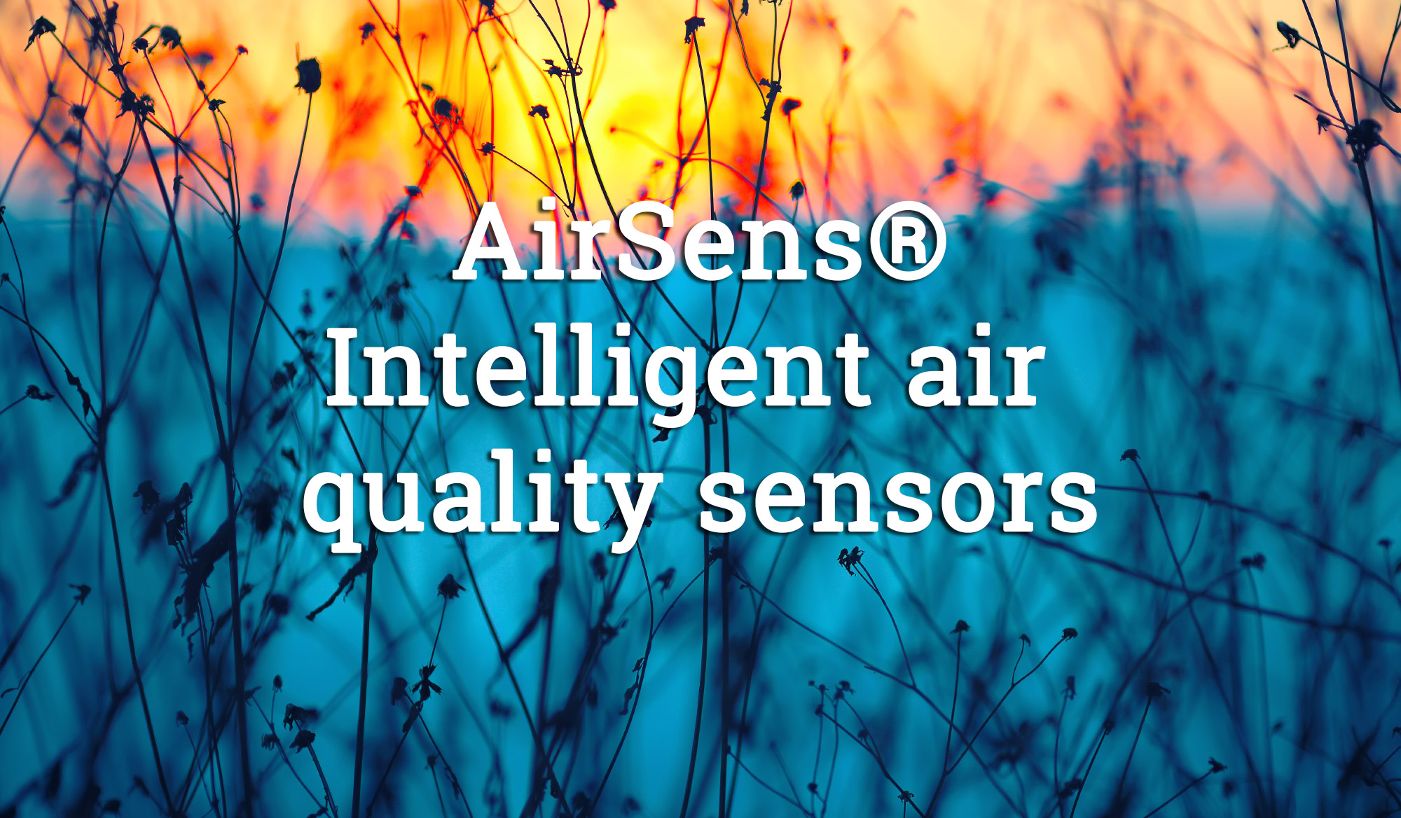 AirSens - Sensori intelligenti per la qualità dell'aria