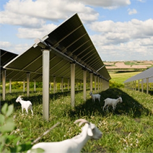 Perché scegliere AGRIFARM